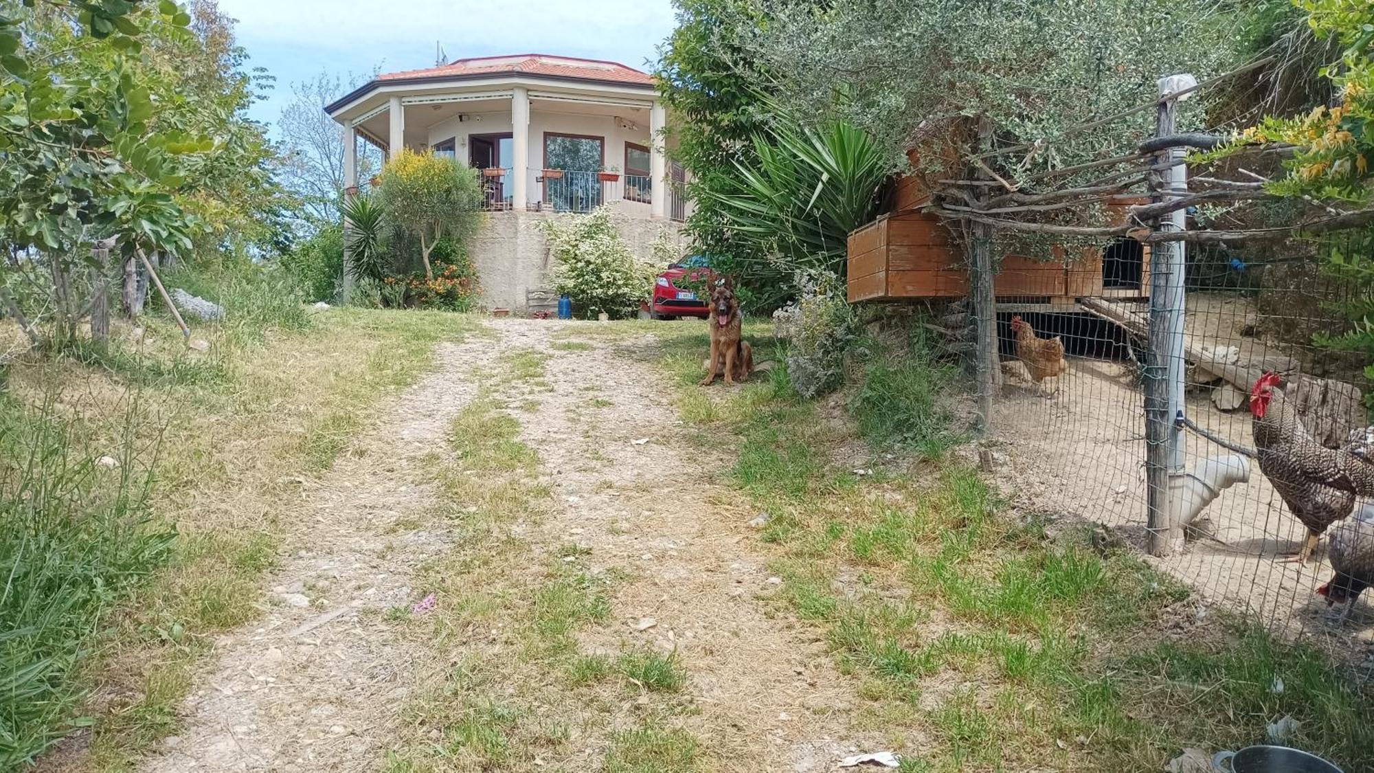 Hotel Palapico Bonifati Esterno foto