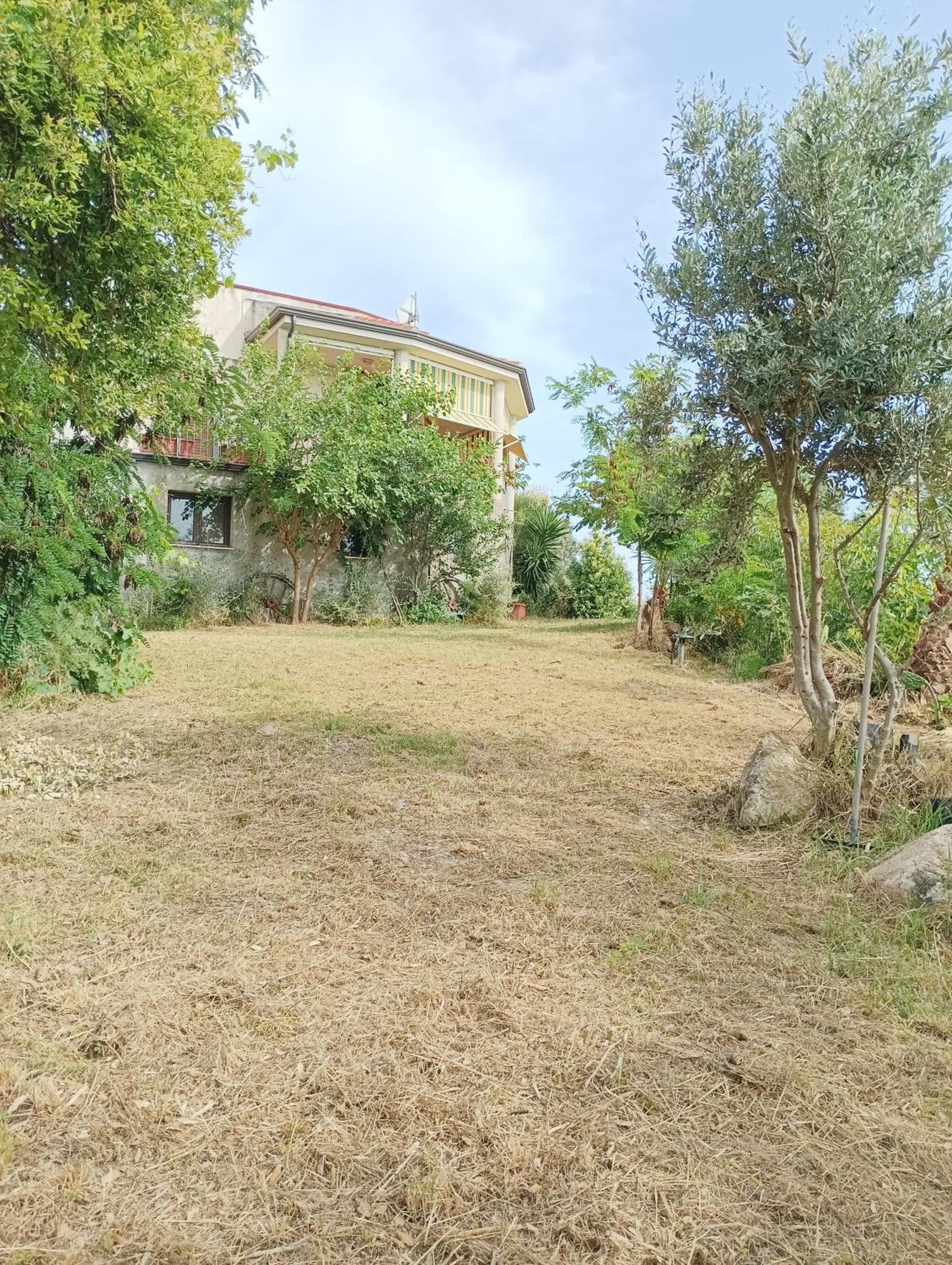 Hotel Palapico Bonifati Esterno foto